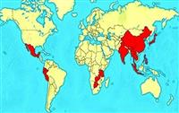 BỆNH GIUN ĐẦU GAI CÓ NGUY HIỂM KHÔNG?