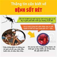 Sốt rét: Nguyên nhân, triệu chứng, chẩn đoán và điều trị