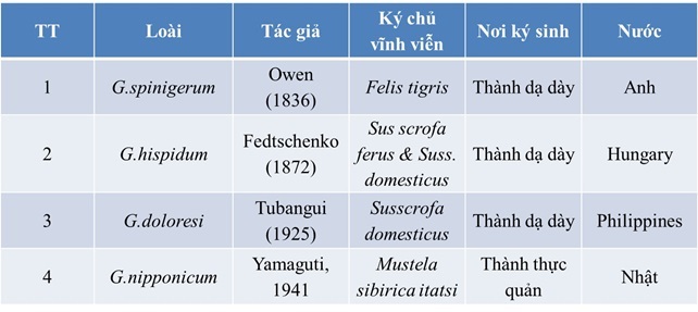 Giun đầu gai (Phần 1: Đại cương; Dịch tễ học; Đặc điểm hình thái học và chu kỳ phát triển)